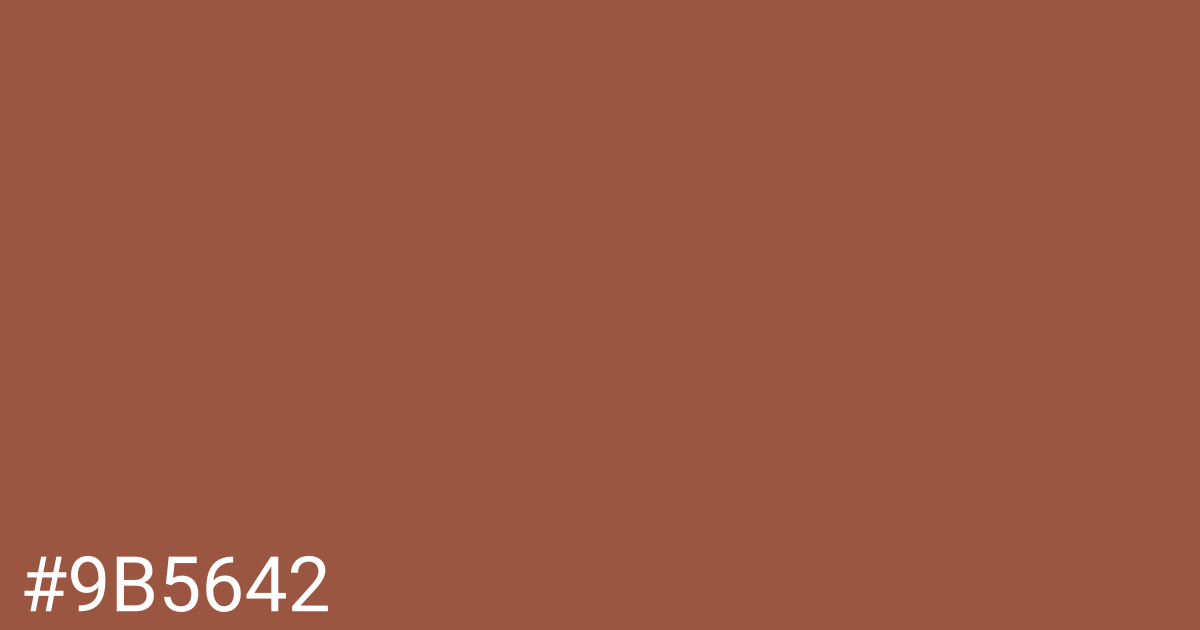 Hex color #9b5642 graphic