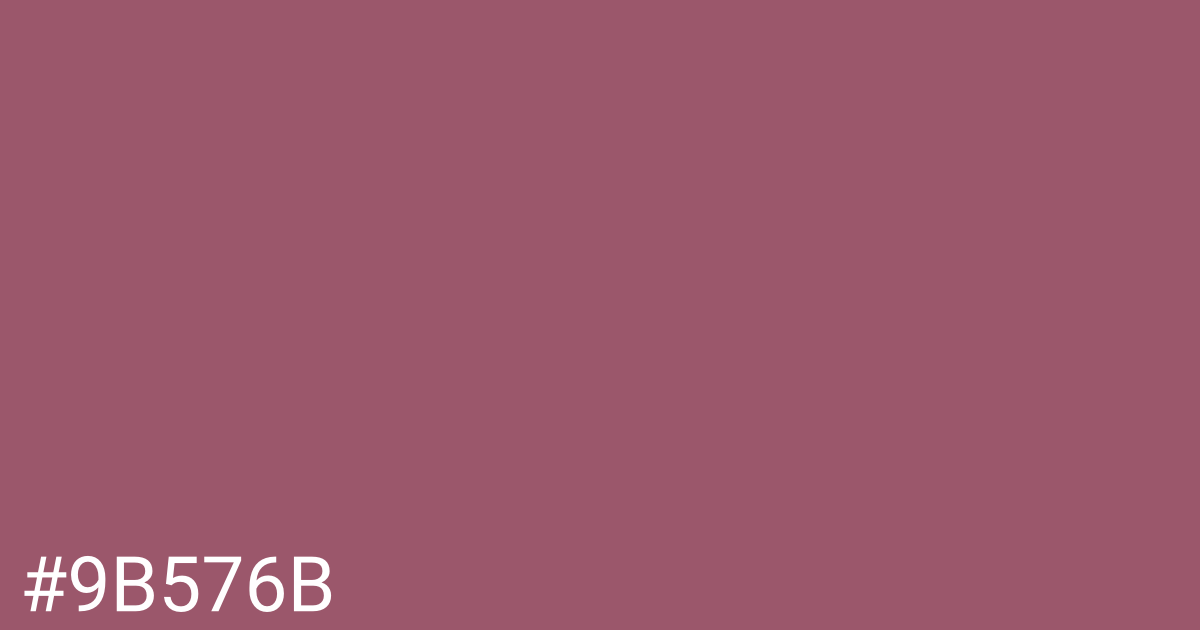 Hex color #9b576b graphic