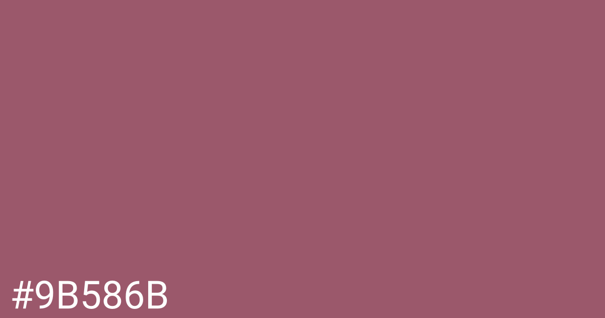 Hex color #9b586b graphic