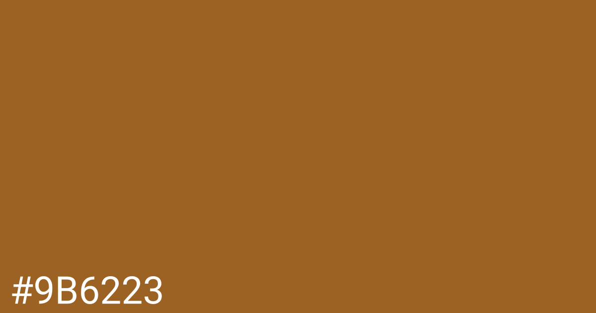 Hex color #9b6223 graphic