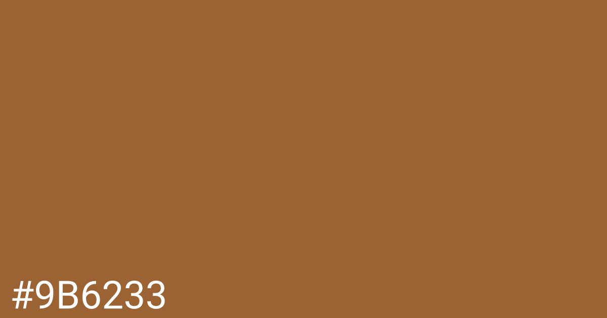 Hex color #9b6233 graphic