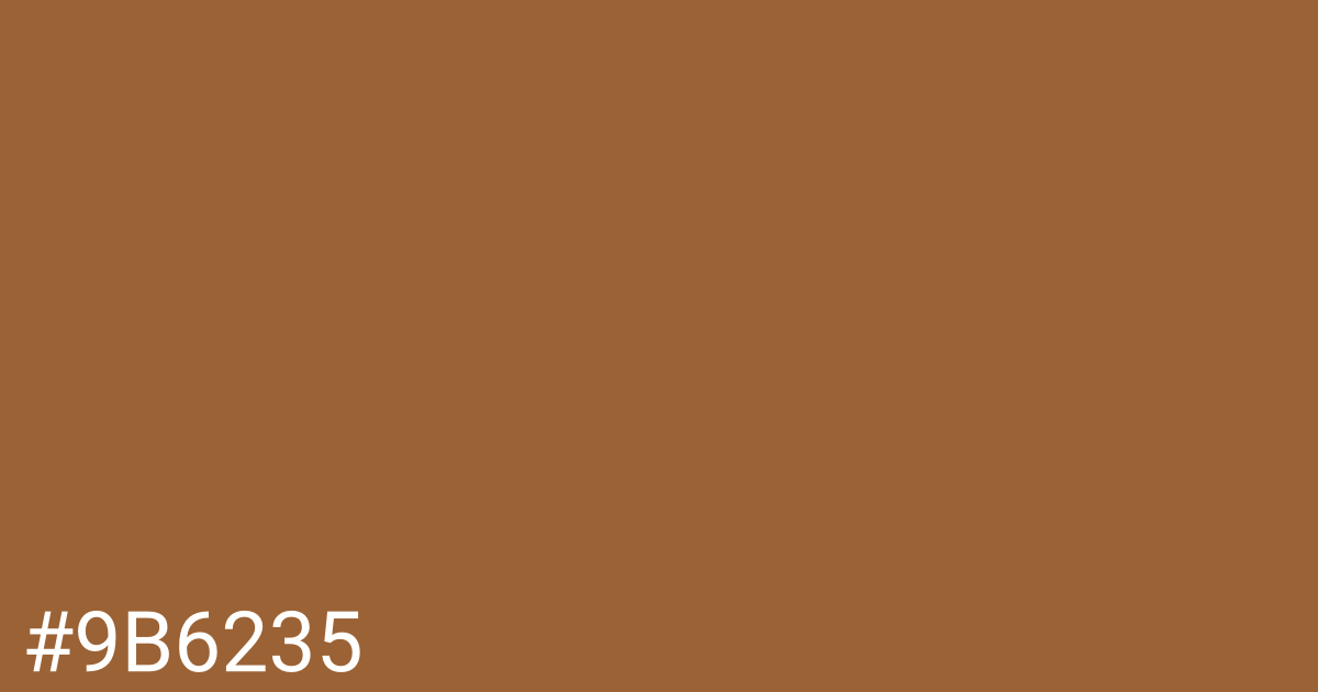 Hex color #9b6235 graphic