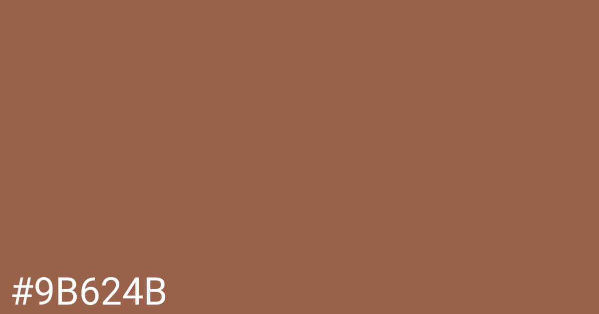 Hex color #9b624b graphic