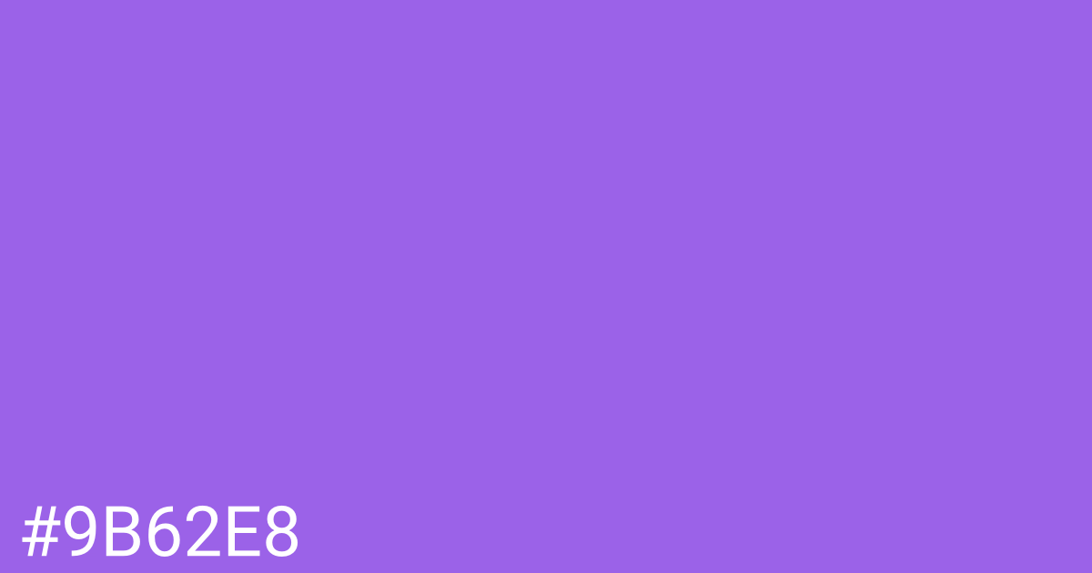 Hex color #9b62e8 graphic