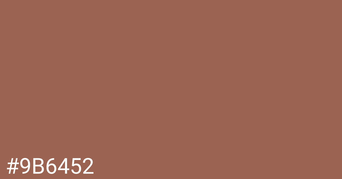 Hex color #9b6452 graphic