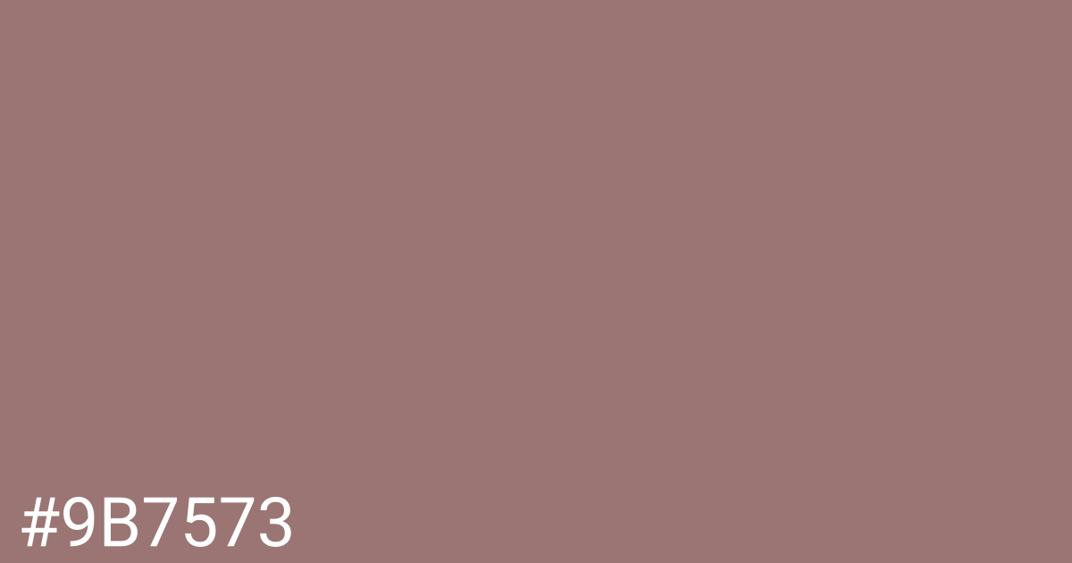 Hex color #9b7573 graphic