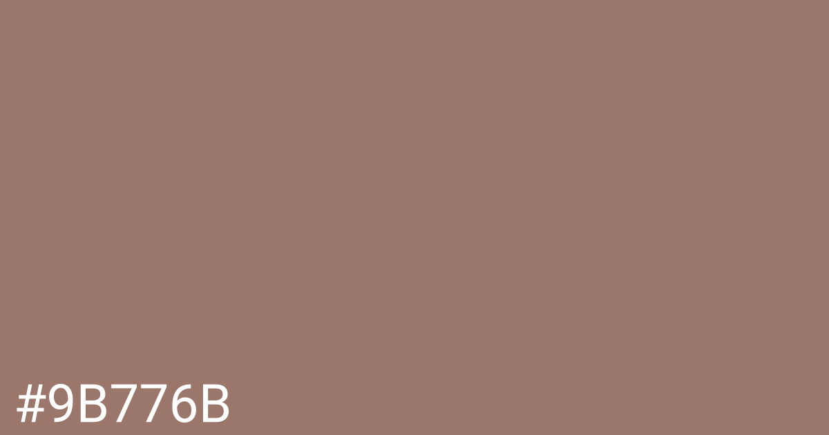 Hex color #9b776b graphic