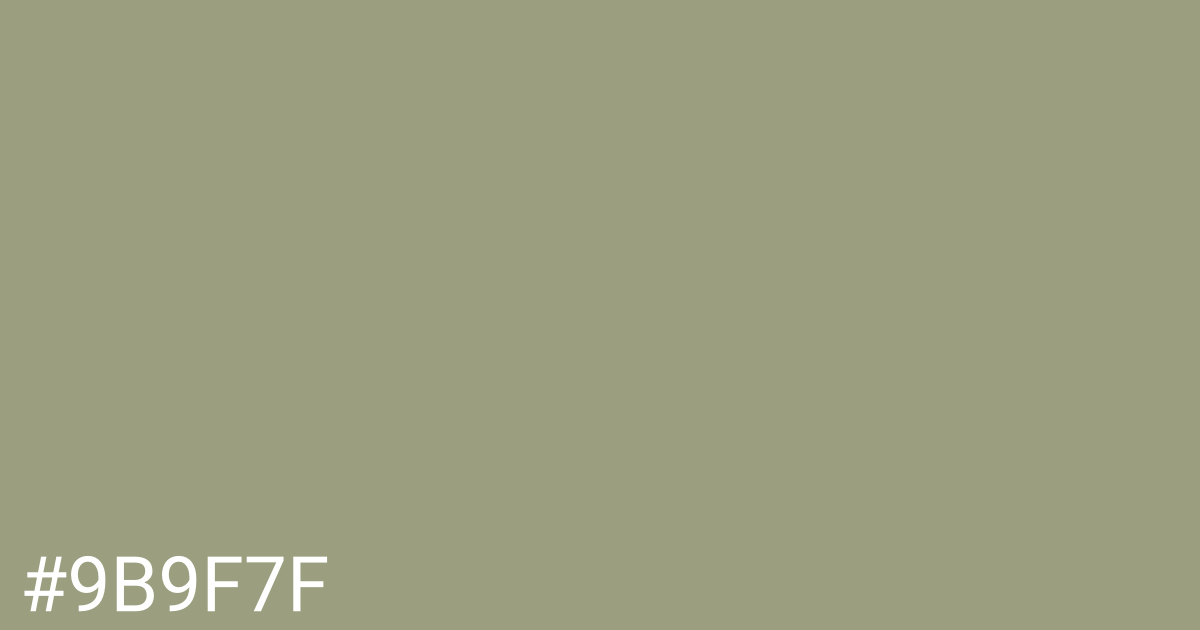 Hex color #9b9f7f graphic