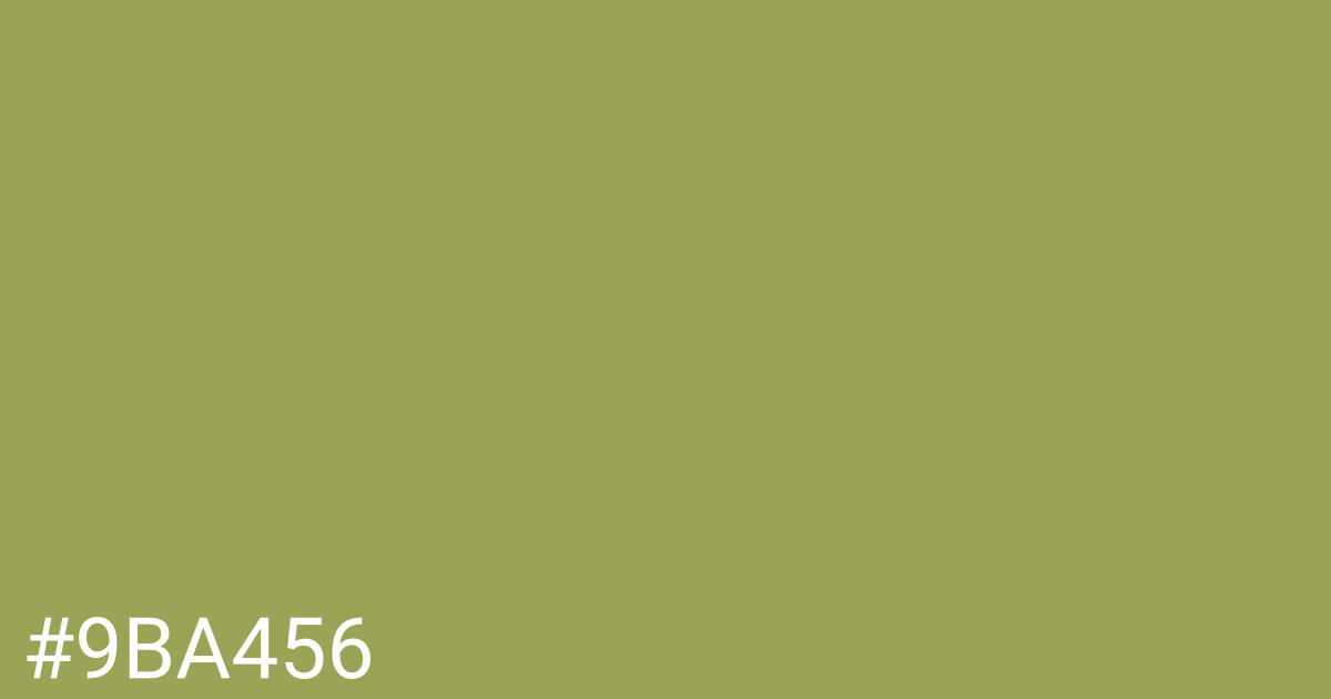 Hex color #9ba456 graphic