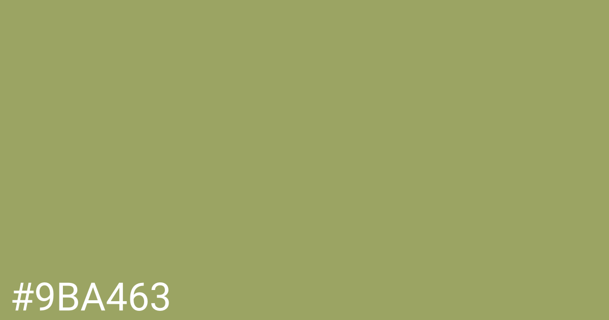 Hex color #9ba463 graphic