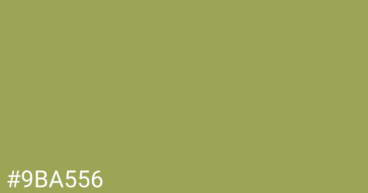 Hex color #9ba556 graphic