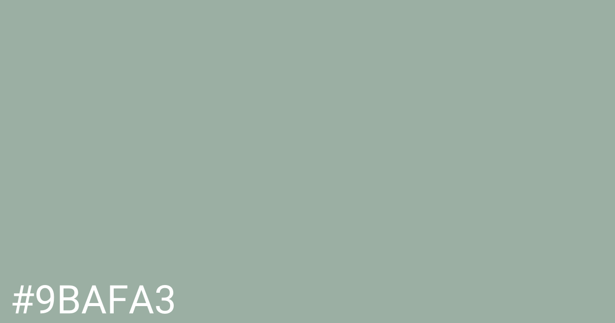 Hex color #9bafa3 graphic