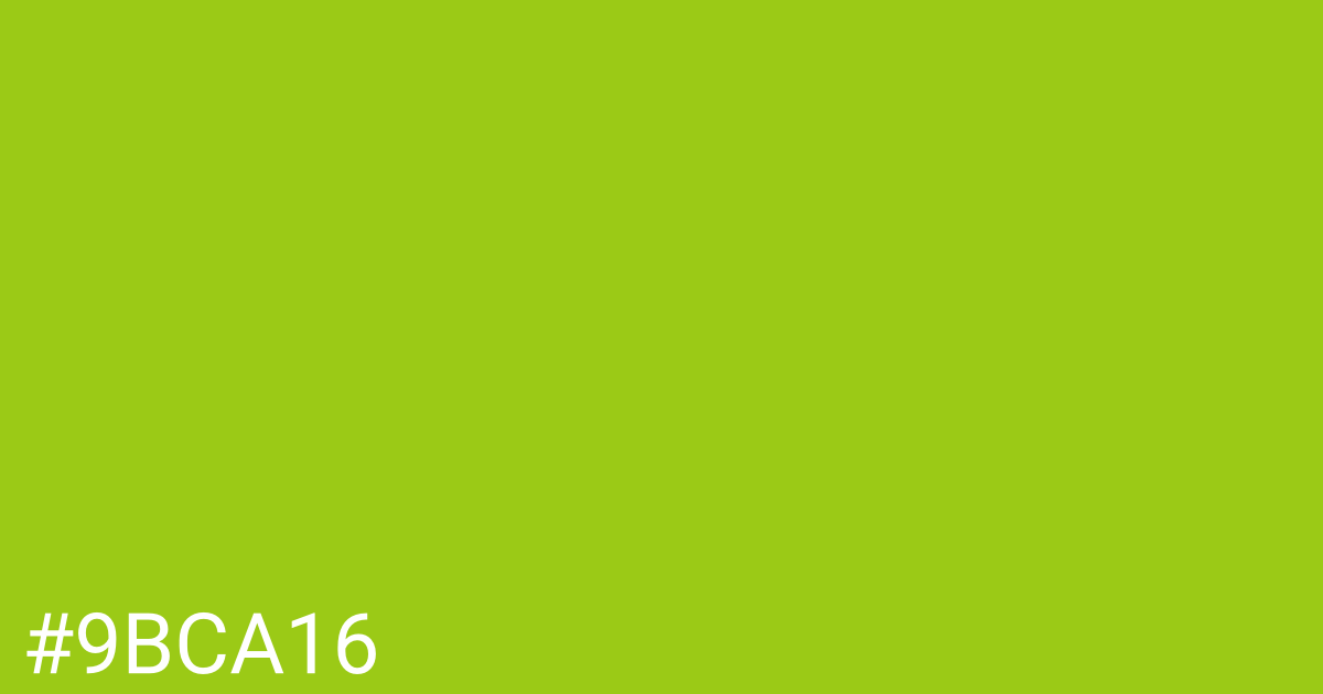 Hex color #9bca16 graphic