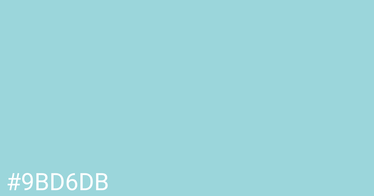 Hex color #9bd6db graphic