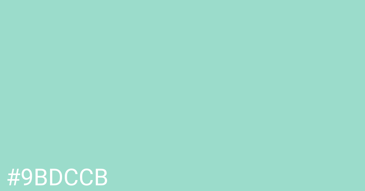 Hex color #9bdccb graphic