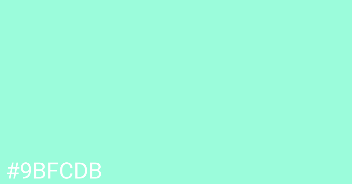 Hex color #9bfcdb graphic