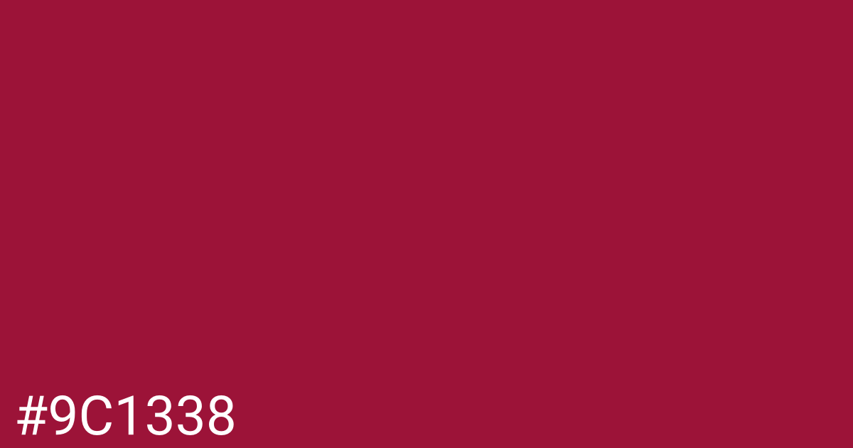 Hex color #9c1338 graphic