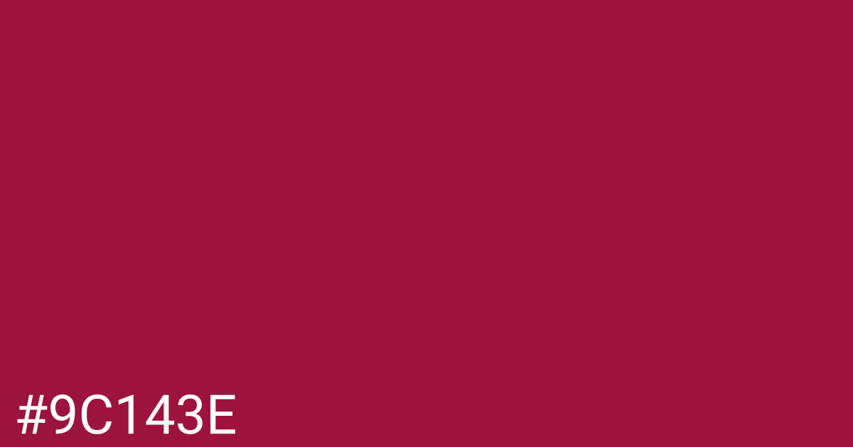 Hex color #9c143e graphic