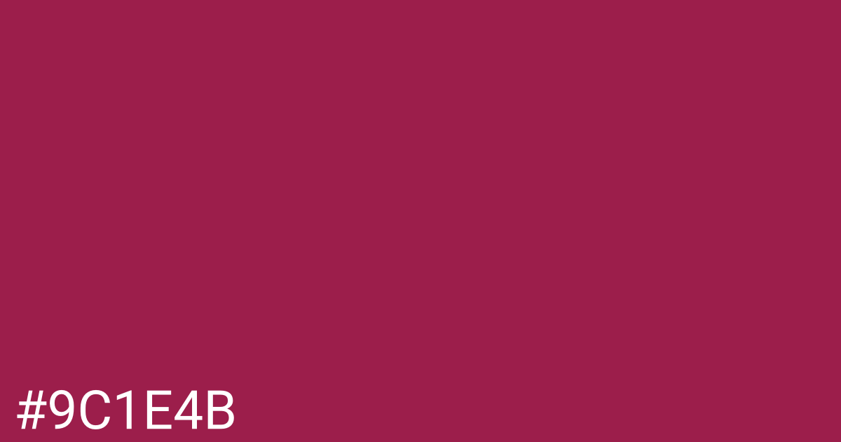 Hex color #9c1e4b graphic