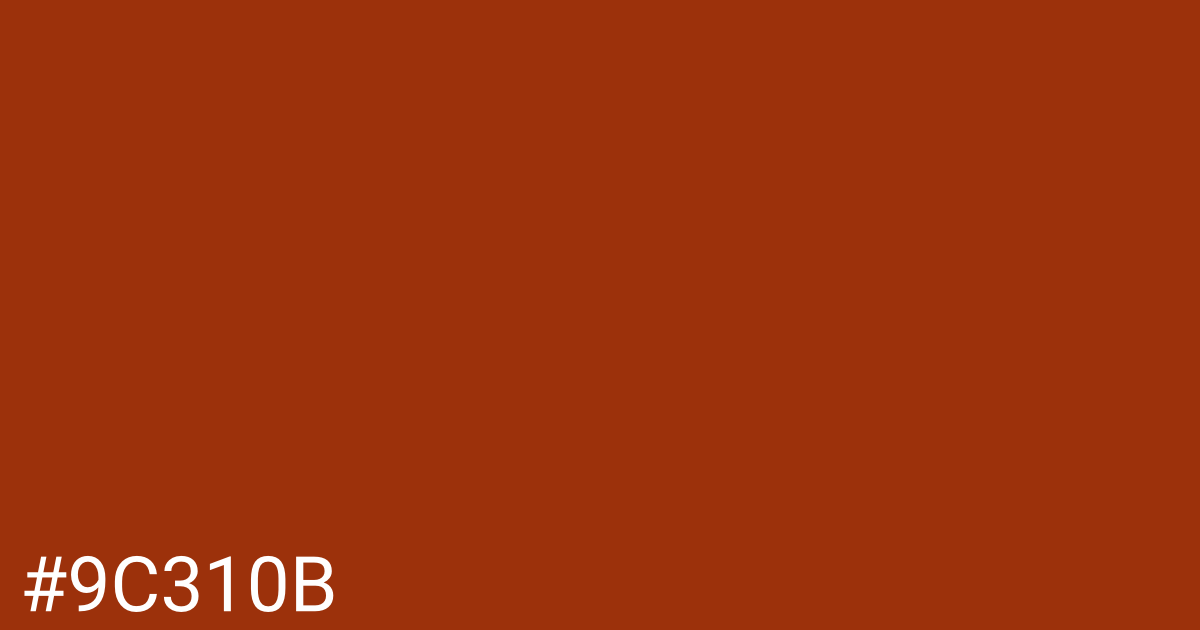 Hex color #9c310b graphic