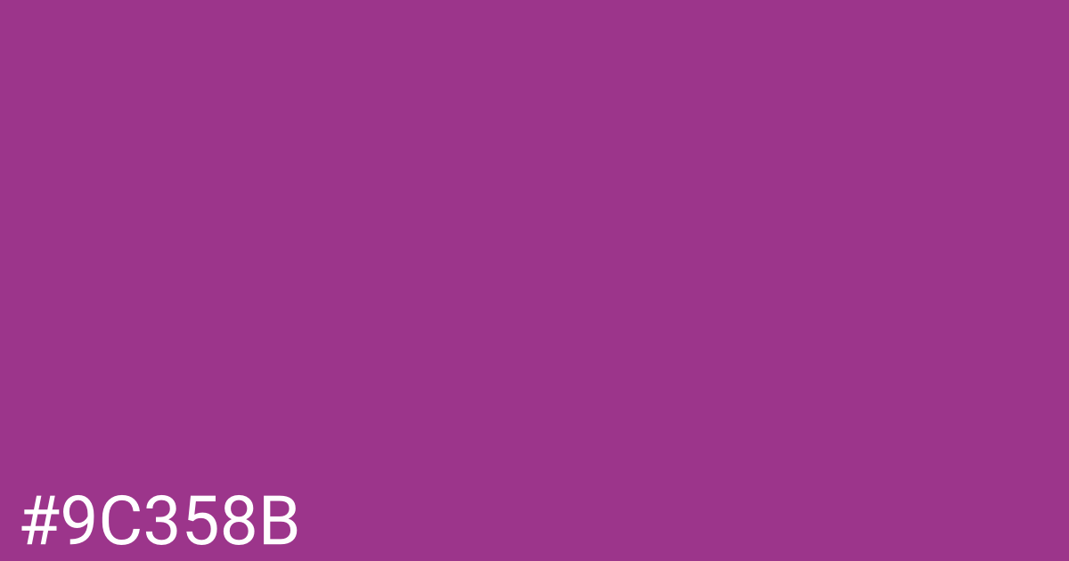 Hex color #9c358b graphic