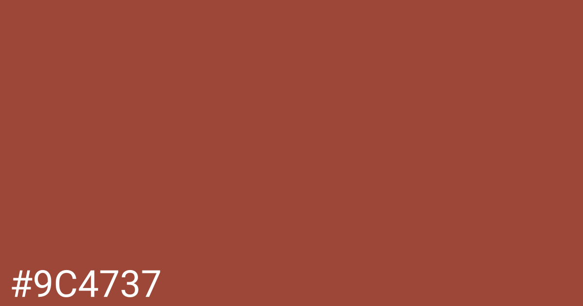 Hex color #9c4737 graphic