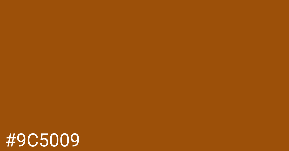 Hex color #9c5009 graphic