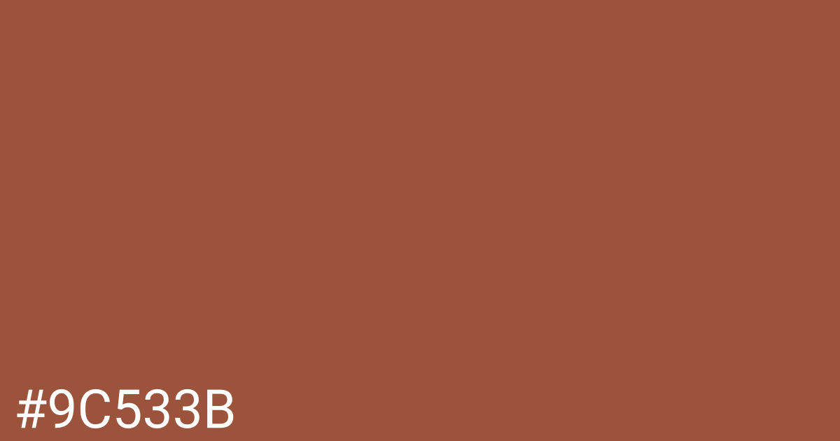 Hex color #9c533b graphic