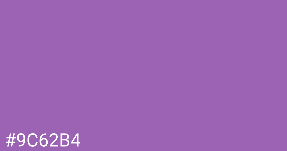 Hex color #9c62b4 graphic