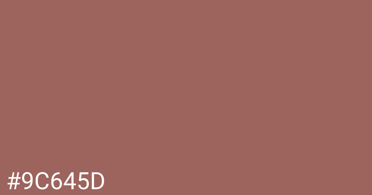 Hex color #9c645d graphic
