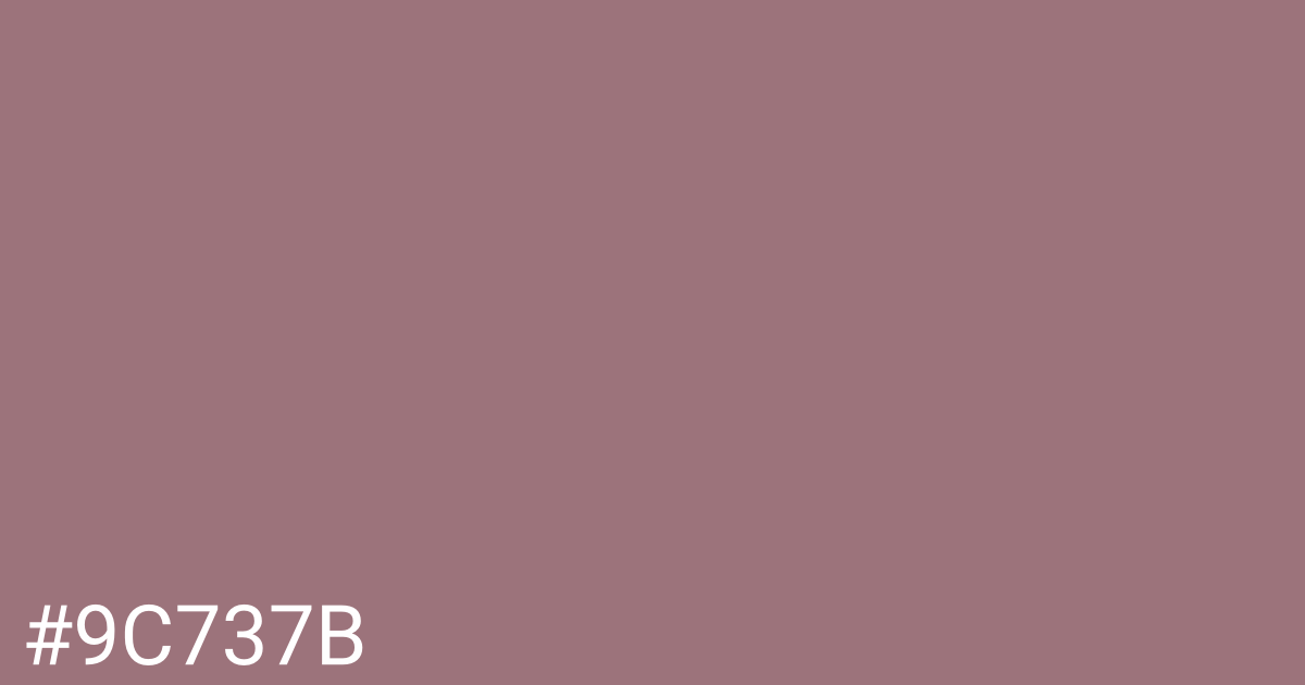 Hex color #9c737b graphic