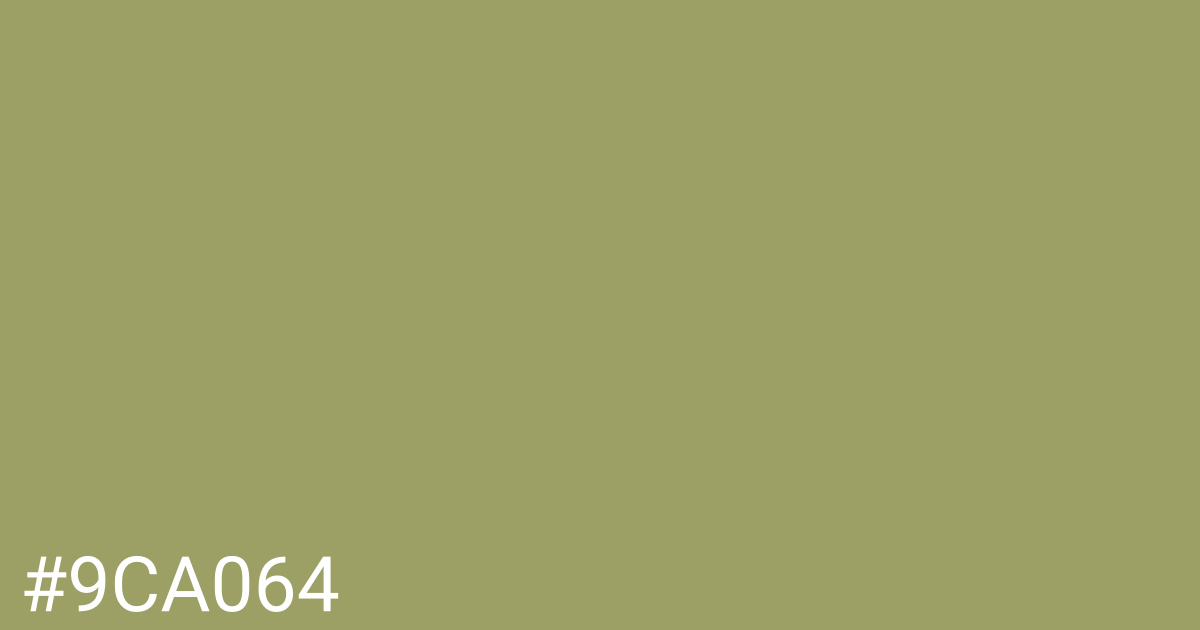 Hex color #9ca064 graphic