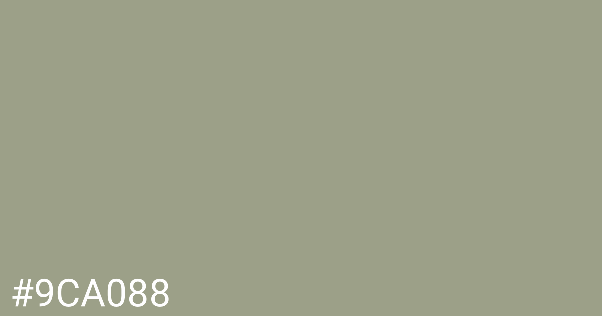 Hex color #9ca088 graphic