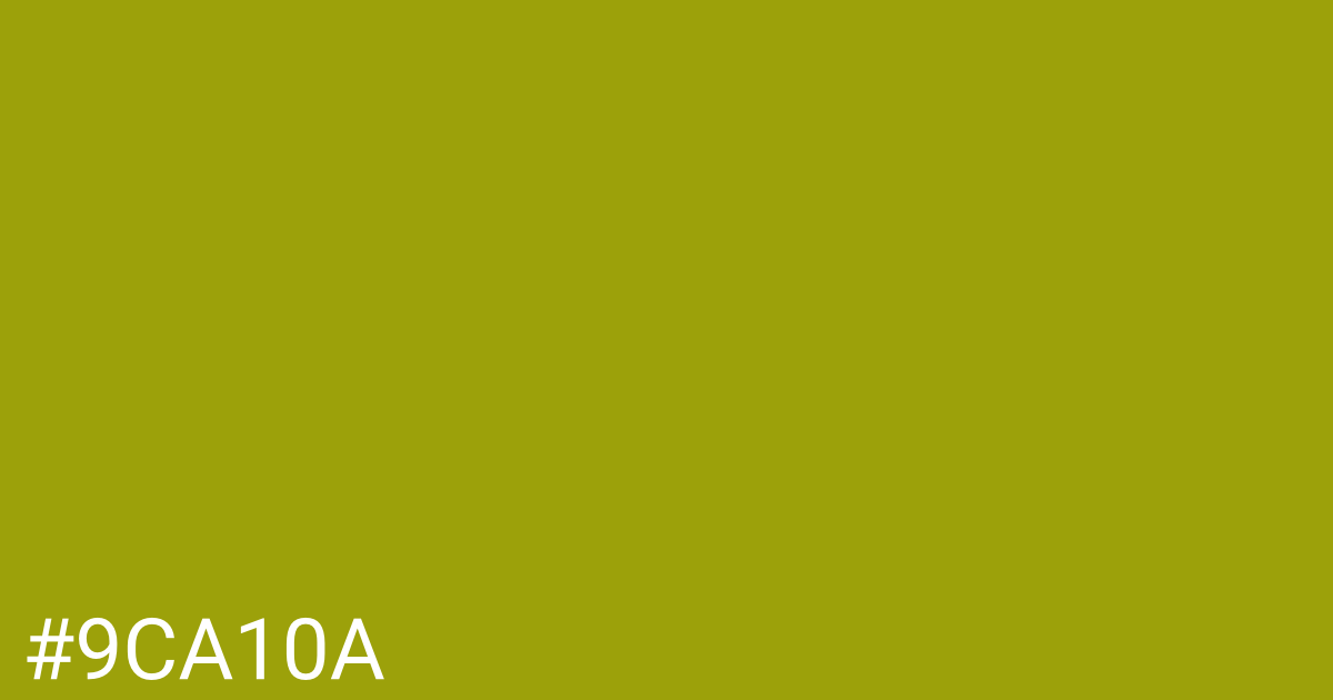 Hex color #9ca10a graphic