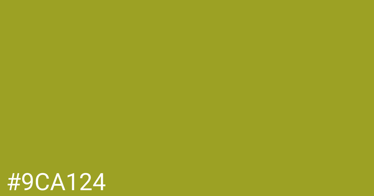 Hex color #9ca124 graphic