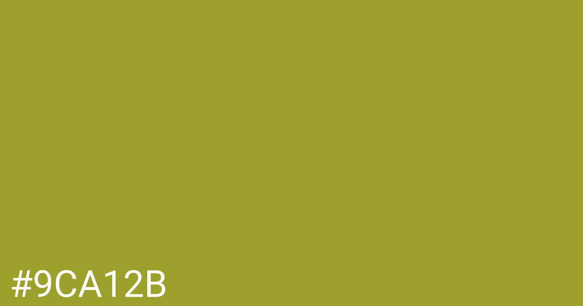Hex color #9ca12b graphic