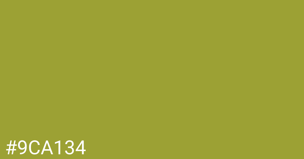 Hex color #9ca134 graphic