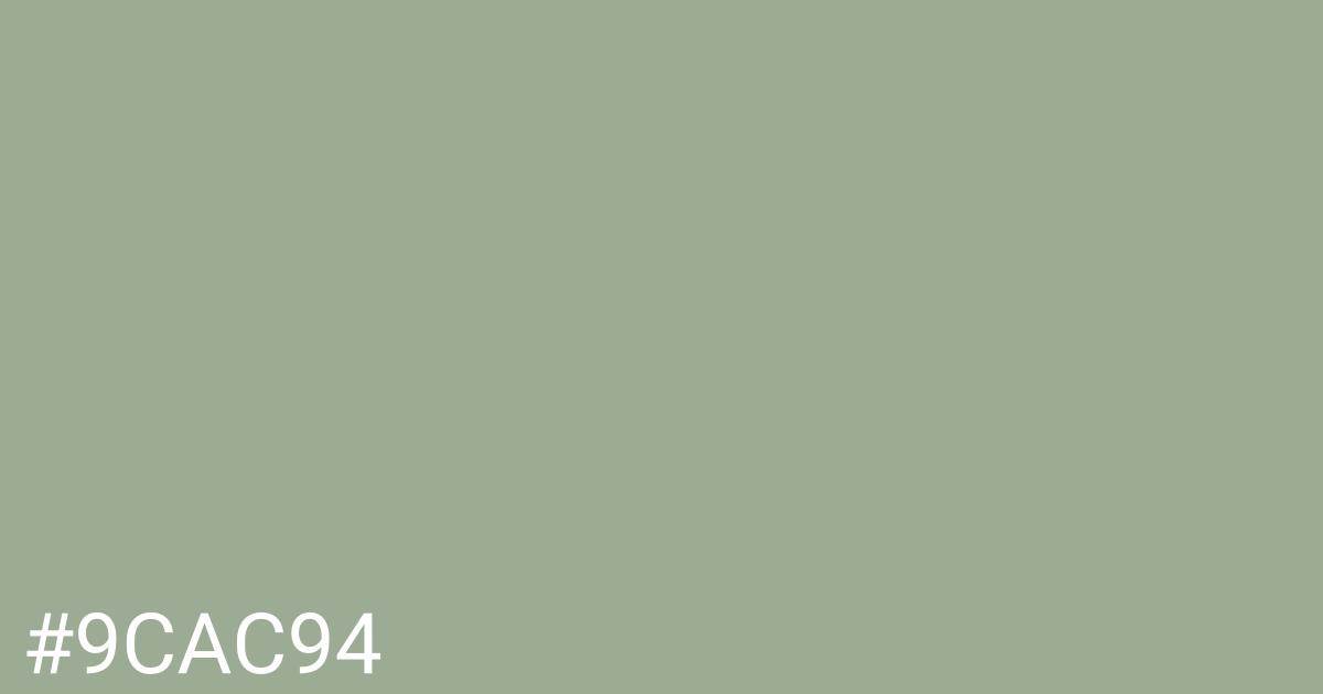 Hex color #9cac94 graphic