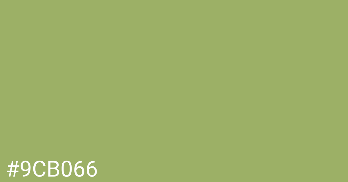 Hex color #9cb066 graphic