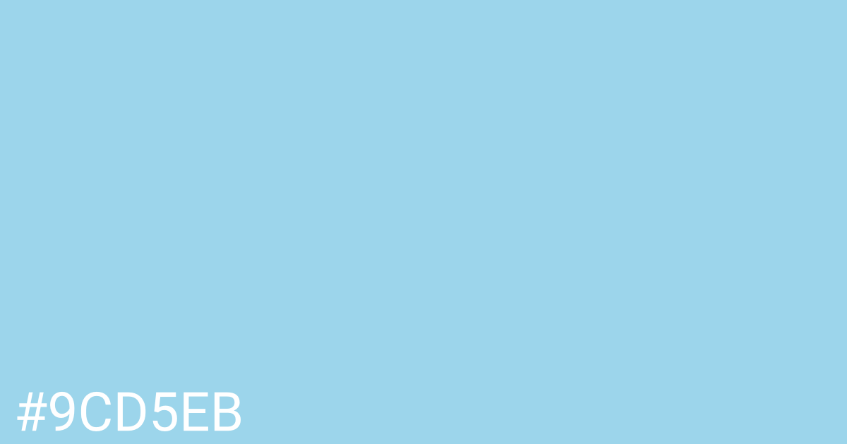 Hex color #9cd5eb graphic