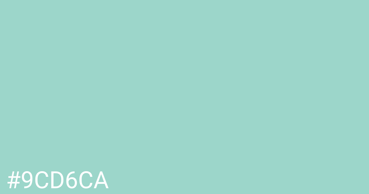Hex color #9cd6ca graphic