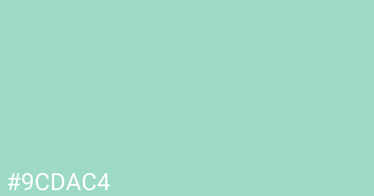 Hex color #9cdac4 graphic