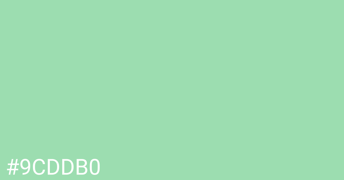 Hex color #9cddb0 graphic