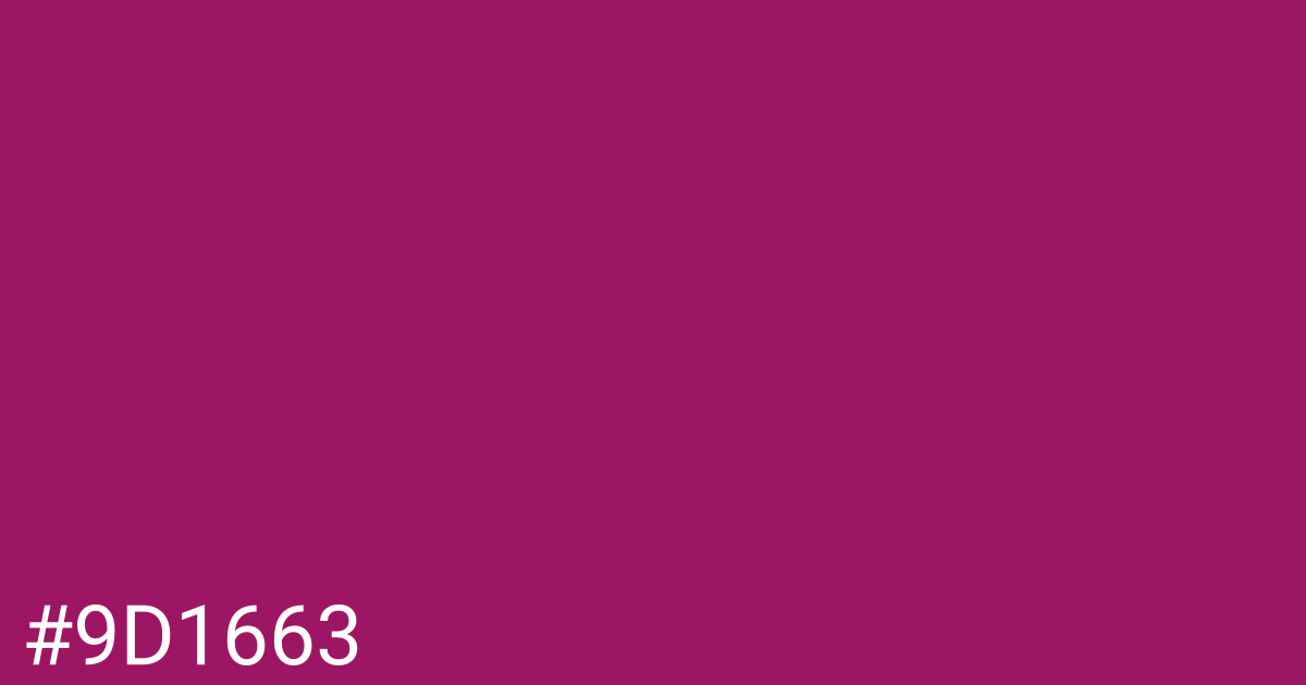 Hex color #9d1663 graphic