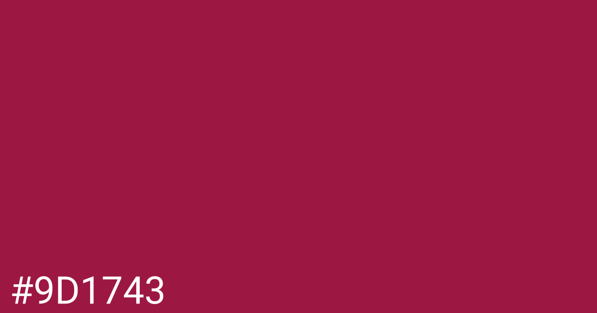 Hex color #9d1743 graphic