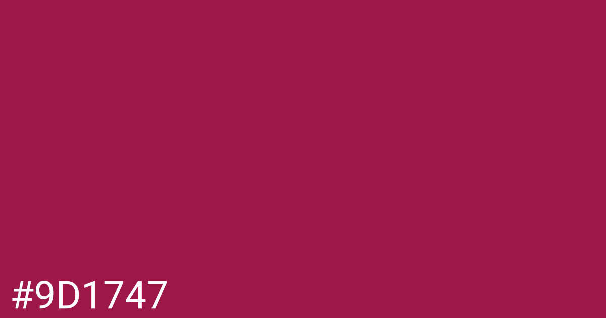 Hex color #9d1747 graphic
