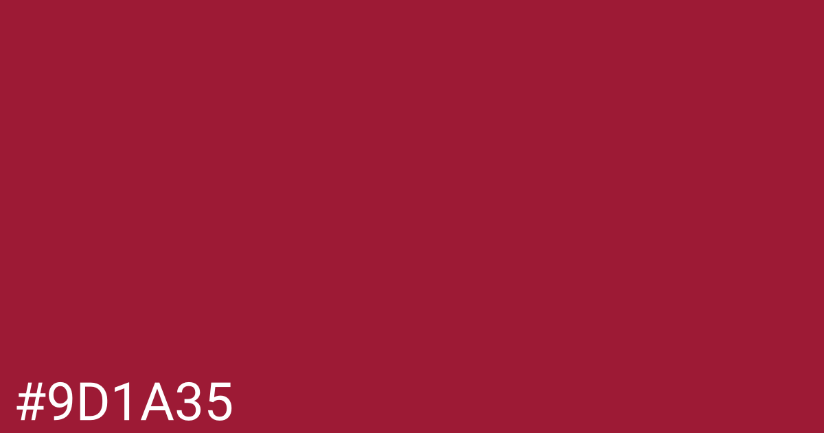 Hex color #9d1a35 graphic
