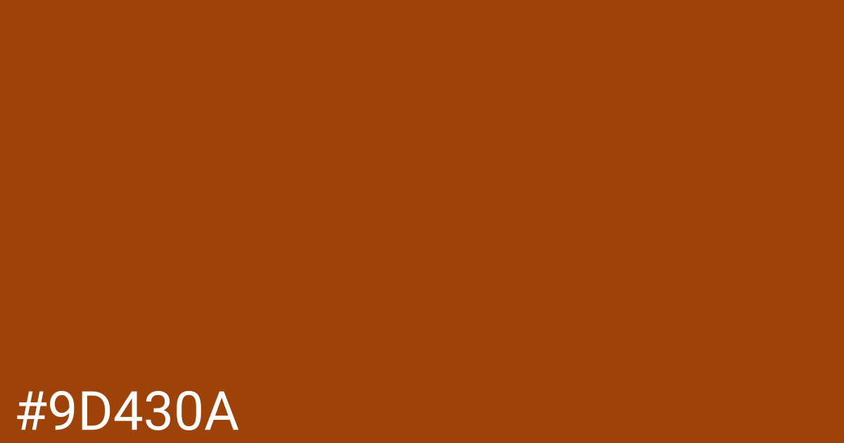 Hex color #9d430a graphic