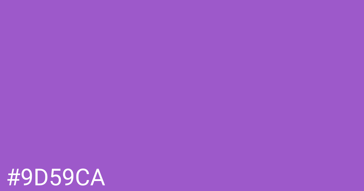 Hex color #9d59ca graphic