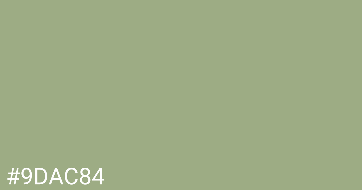 Hex color #9dac84 graphic